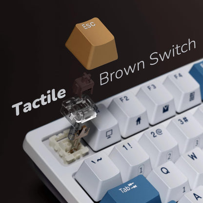 RK98 Wireless Mechanical Keyboard, 100 Keys 98% Layout with Custom Switches Hot Swappable, Tri-Mode BT5.1/2.4G/USB-C Full Size Gaming Keyboard with Numpad RGB, Brown Switch