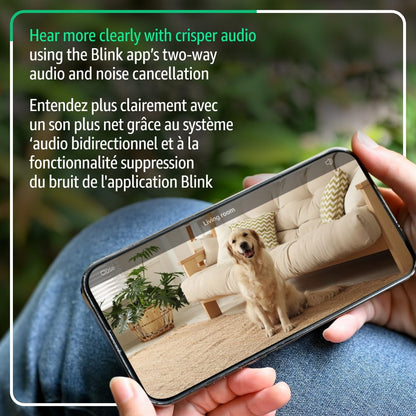 Mini 2K+ (Newest Model) – Plug-In Home &amp; Pet Security Camera with 2K Video Resolution, Colour Night Vision, Enhanced Audio, Motion Detection – 1 Camera (Black)