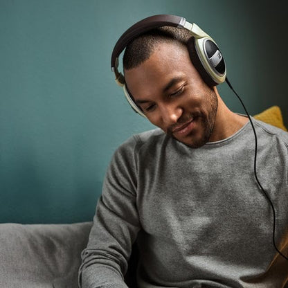 HD 599 - Open-Back Headphones with Premium Design, Natural Balanced Audio and Comfortable Fit, Black